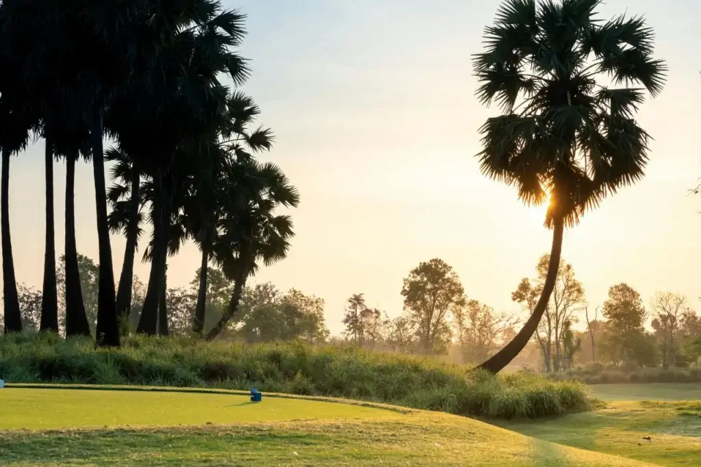 Best Golf