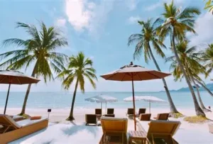 5 Best Hotels in Koh Samui (2026): Stays by Beach & Budget