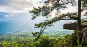 Phu Kradueng National Park: Hiking & Camping Guide 2026