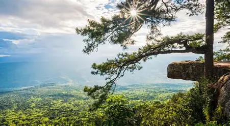Phu Kradueng National Park